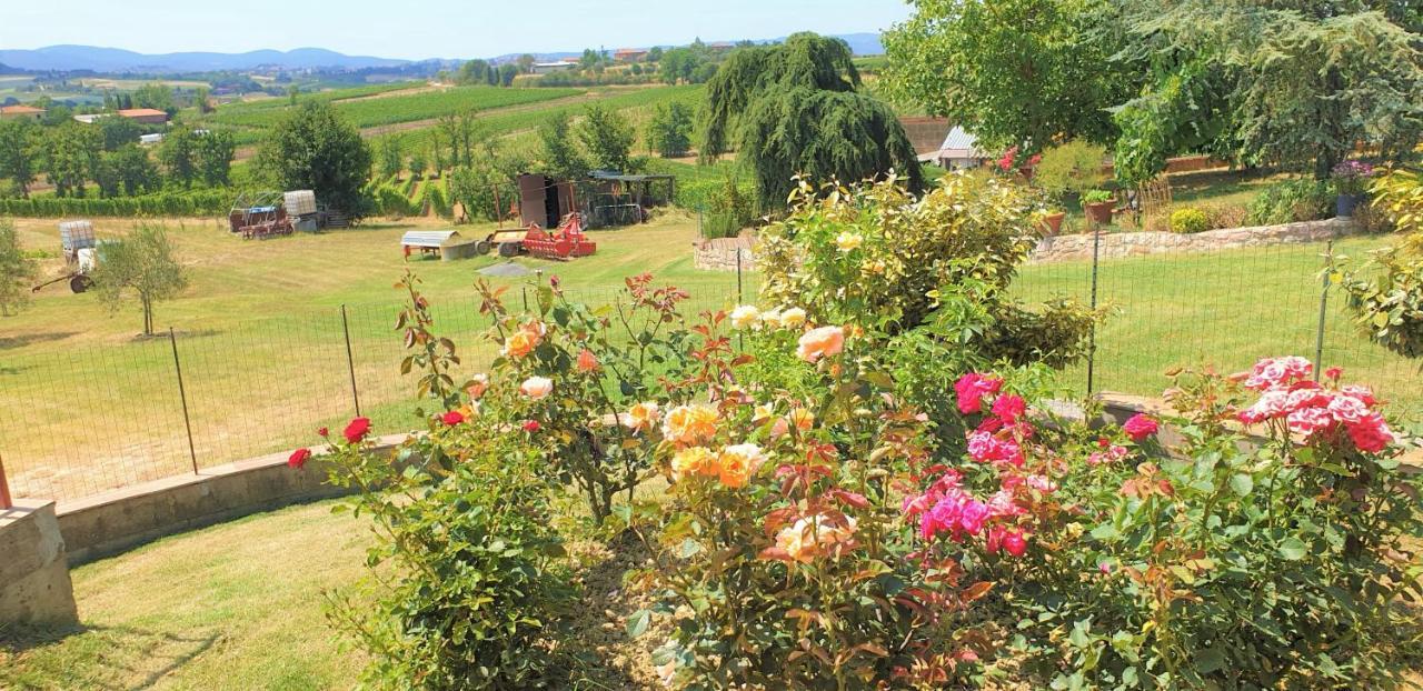 Casina Di Pacina Villa Abbadia di Montepulciano Екстериор снимка