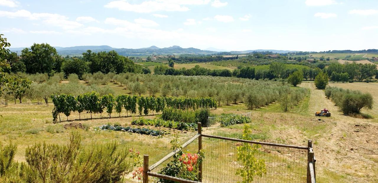 Casina Di Pacina Villa Abbadia di Montepulciano Екстериор снимка